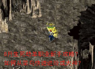 8�������ٵ�ְҵ���ֹ��ԣ���δӲ�����ٽ��׳ɴ���