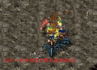 ���һ���������˽�������棿