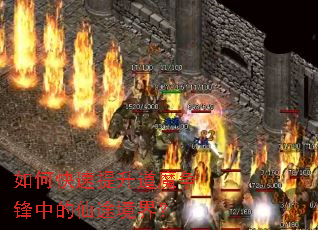 ��ο���������ħ�����е���;���磿