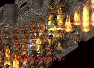 ��ο������Ԫ���ں�����