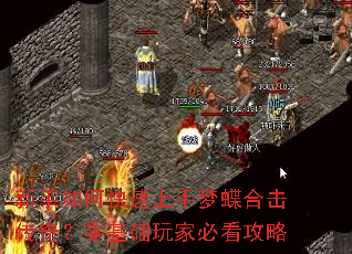 ������ο��������ε��ϻ����棿�������ұؿ�����