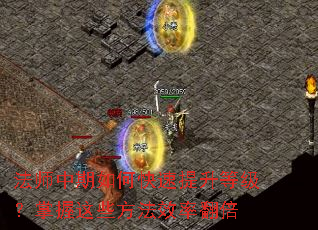 ��ʦ������ο��������ȼ���������Щ����Ч�ʷ���