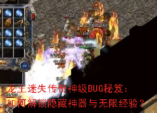 ������ʧ������BUG���ţ���ν����������������޾��飿