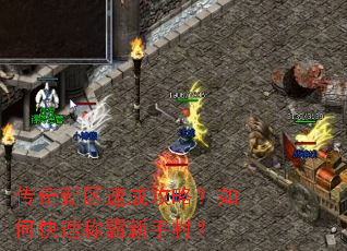 ���������ٳɹ��ԣ���ο��ٳư����ִ壿