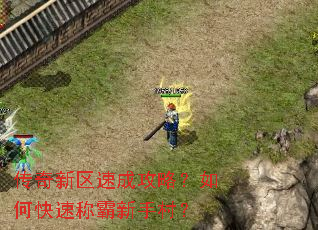 ���������ٳɹ��ԣ���ο��ٳư����ִ壿