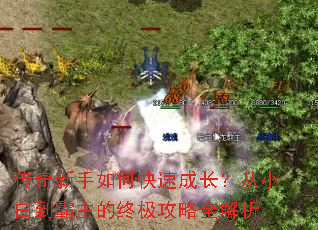 传奇新手如何快速成长?从小白到霸主的终极攻略全解析 传奇新手如何快速成长?从小白到霸主的终极攻略全解析