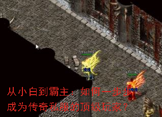 从小白到霸主:如何一步步成为传奇私服的顶级玩家? 从小白到霸主:如何一步步成为传奇私服的顶级玩家?