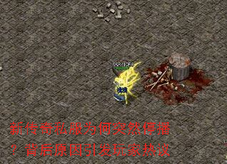 �´���˽��Ϊ��ͻȻͣ��������ԭ�������������