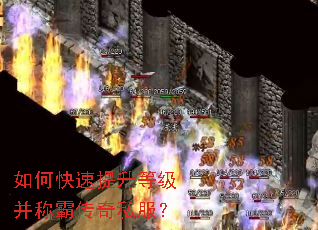 ��ο��������ȼ����ưԴ���˽����