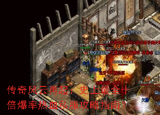 �����������ʷ����ȫʮ��������Ѫ˽������ָ�ϣ�