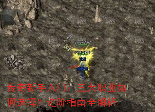 �����������ţ�����ְҵ���ѡ�񣿽���ָ��ȫ����