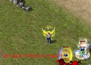 ��α��⴫����Ϸ�е�ƭ�ӣ�