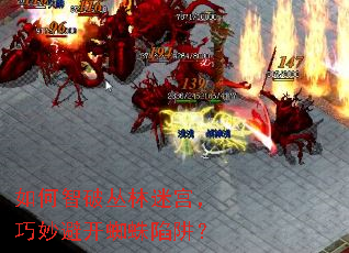 如何智破丛林迷宫,巧妙避开蜘蛛陷阱? 如何智破丛林迷宫,巧妙避开蜘蛛陷阱?