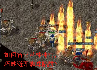 如何智破丛林迷宫,巧妙避开蜘蛛陷阱? 如何智破丛林迷宫,巧妙避开蜘蛛陷阱?