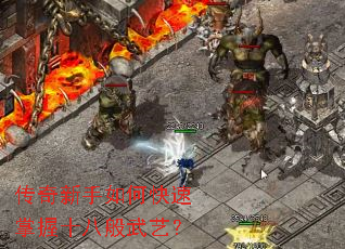 ����������ο�������ʮ�˰����գ�