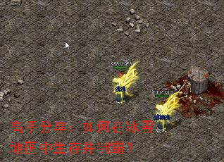 ���ַ���������ڱ�ѩ��ͼ�����沢�ưԣ�