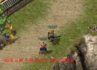 ��δ����ֿ��ٳɳ�Ϊ���������