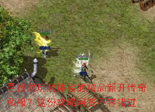 寻找耐玩耐体验的精品新开传奇私服?这份攻略问答不容错过 寻找耐玩耐体验的精品新开传奇私服?这份攻略问答不容错过