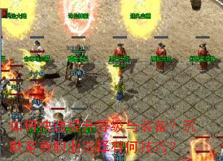 ��ο��������ȼ���װ������Ĭ����ְҵѡ���кμ��ɣ�