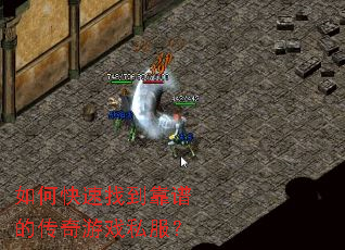 ��ο����ҵ����׵Ĵ�����Ϸ˽����