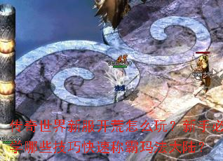 传奇世界新服开荒怎么玩?新手必学哪些技巧快速称霸玛法大陆? 传奇世界新服开荒怎么玩?新手必学哪些技巧快速称霸玛法大陆?