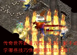 传奇世界新服开荒怎么玩?新手必学哪些技巧快速称霸玛法大陆? 传奇世界新服开荒怎么玩?新手必学哪些技巧快速称霸玛法大陆?