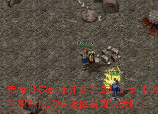 传奇世界新服开荒怎么玩?新手必学哪些技巧快速称霸玛法大陆? 传奇世界新服开荒怎么玩?新手必学哪些技巧快速称霸玛法大陆?