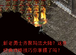 ������ʿ����귨��½����Щ���乥�Լ�������������