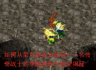 ��δӲ���ɳ�Ϊս��һ������սʿ������ɳ�֮·ȫ����