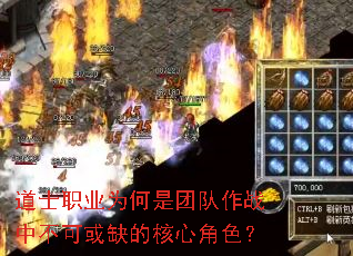 ��ʿְҵΪ�����Ŷ���ս�в��ɻ�ȱ�ĺ��Ľ�ɫ��