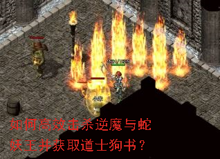 如何高效击杀逆魔与蛇妖王并获取道士狗书? 如何高效击杀逆魔与蛇妖王并获取道士狗书?