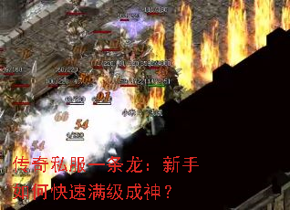 ����˽��һ������������ο�����������