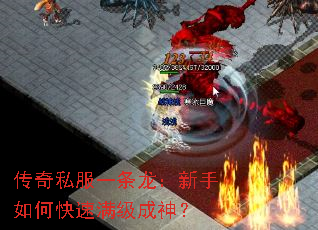 ����˽��һ������������ο�����������