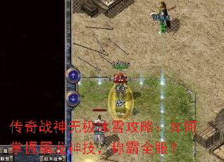 ����ս���޼���ѩ���ԣ�������������񼼣��ư�ȫ����