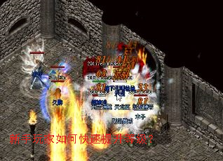 ���������ο��������ȼ���