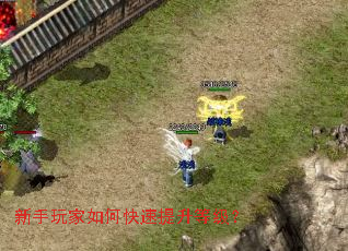 ���������ο��������ȼ���