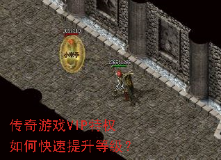 ������ϷVIP��Ȩ��ο��������ȼ���