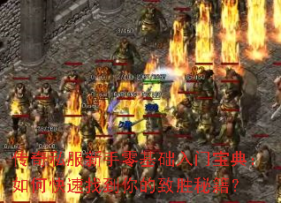 ����˽��������������ű��䣺��ο����ҵ������ʤ�ؼ���