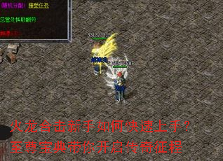 �����ϻ�������ο������֣����𱦵���㿪����������