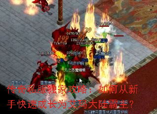 ����˽�����ҹ��ԣ���δ����ֿ��ٳɳ�Ϊ�����½������