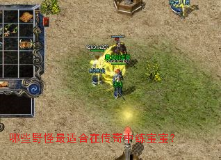 ��ЩҰ�����ʺ��ڴ�������������