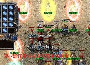 ��ЩҰ�����ʺ��ڴ�������������