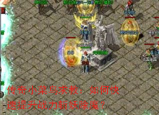 传奇小菜鸟求教:如何快速提升战力斩妖除魔? 传奇小菜鸟求教:如何快速提升战力斩妖除魔?