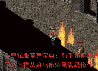 传奇私服至尊宝典:新手如何快速入门?怎样从菜鸟修炼到满级修仙? 传奇私服至尊宝典:新手如何快速入门?怎样从菜鸟修炼到满级修仙?