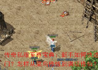 传奇私服至尊宝典:新手如何快速入门?怎样从菜鸟修炼到满级修仙? 传奇私服至尊宝典:新手如何快速入门?怎样从菜鸟修炼到满级修仙?