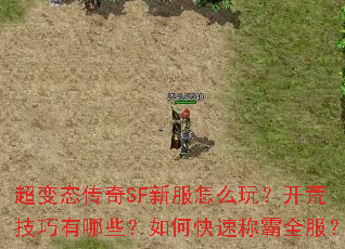����̬����SF�·���ô�棿���ļ�������Щ����ο��ٳư�ȫ����