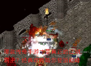 哪款传奇手游才是真正的江湖霸主?经典攻略助你登顶巅峰 哪款传奇手游才是真正的江湖霸主?经典攻略助你登顶巅峰