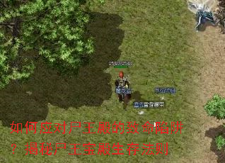 如何应对尸王殿的致命陷阱?揭秘尸王宝殿生存法则 如何应对尸王殿的致命陷阱?揭秘尸王宝殿生存法则