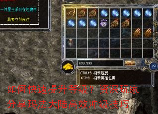 如何快速提升等级?资深玩家分享玛法大陆高效冲级技巧 如何快速提升等级?资深玩家分享玛法大陆高效冲级技巧