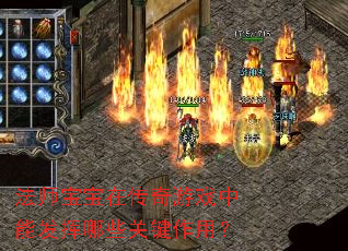 法师宝宝在传奇游戏中能发挥哪些关键作用? 法师宝宝在传奇游戏中能发挥哪些关键作用?